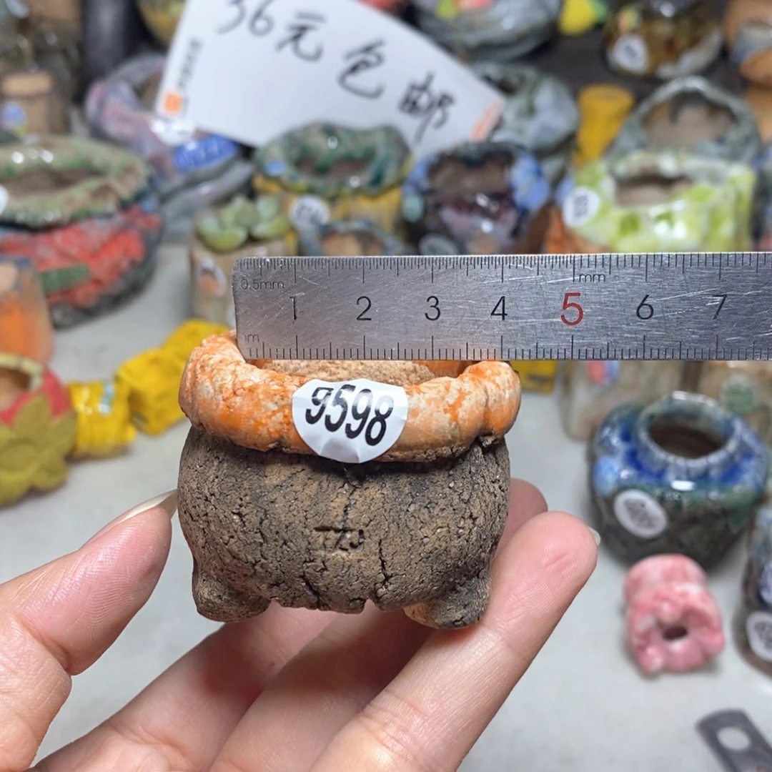 拍3送一个小礼物