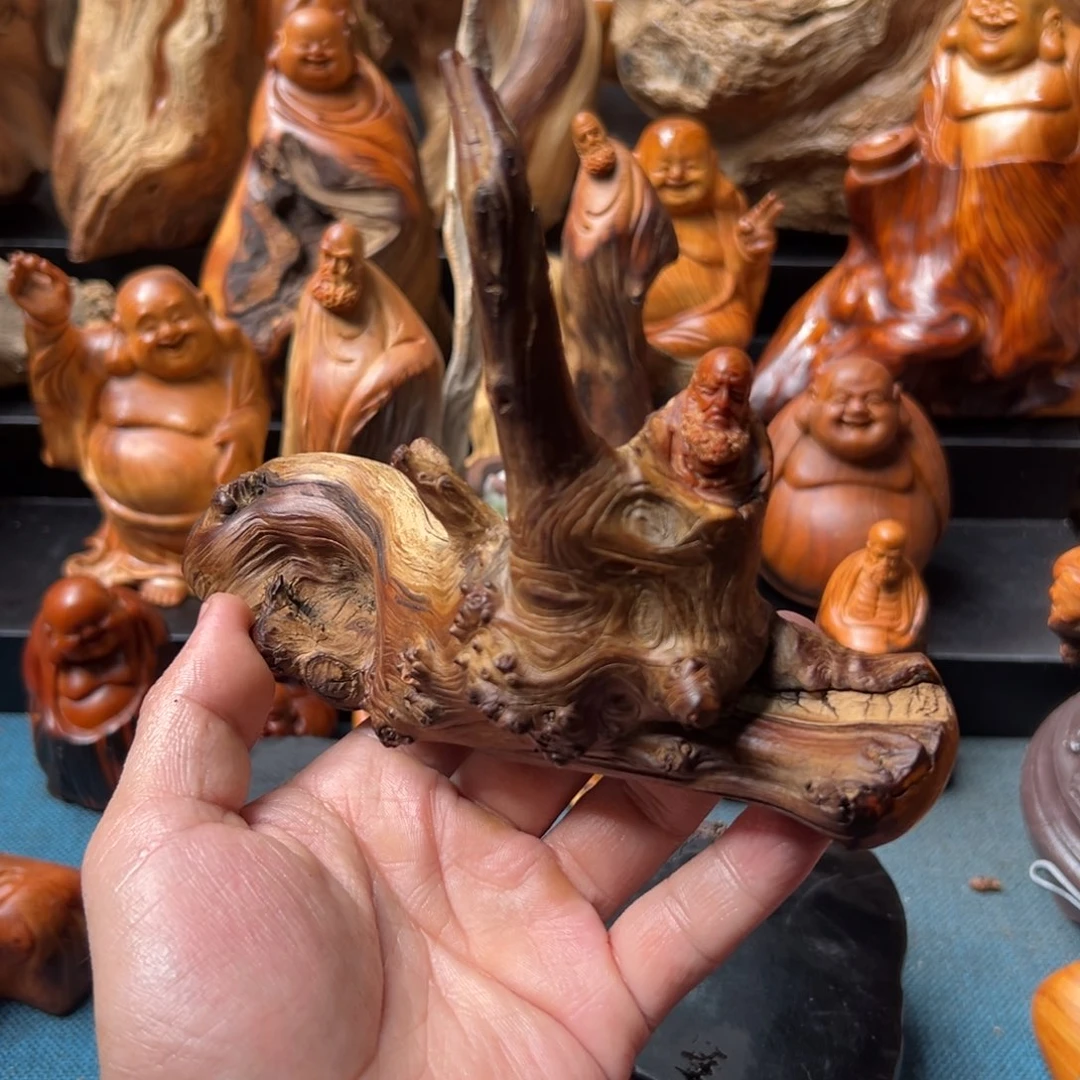 柏木（崖柏）太行崖柏