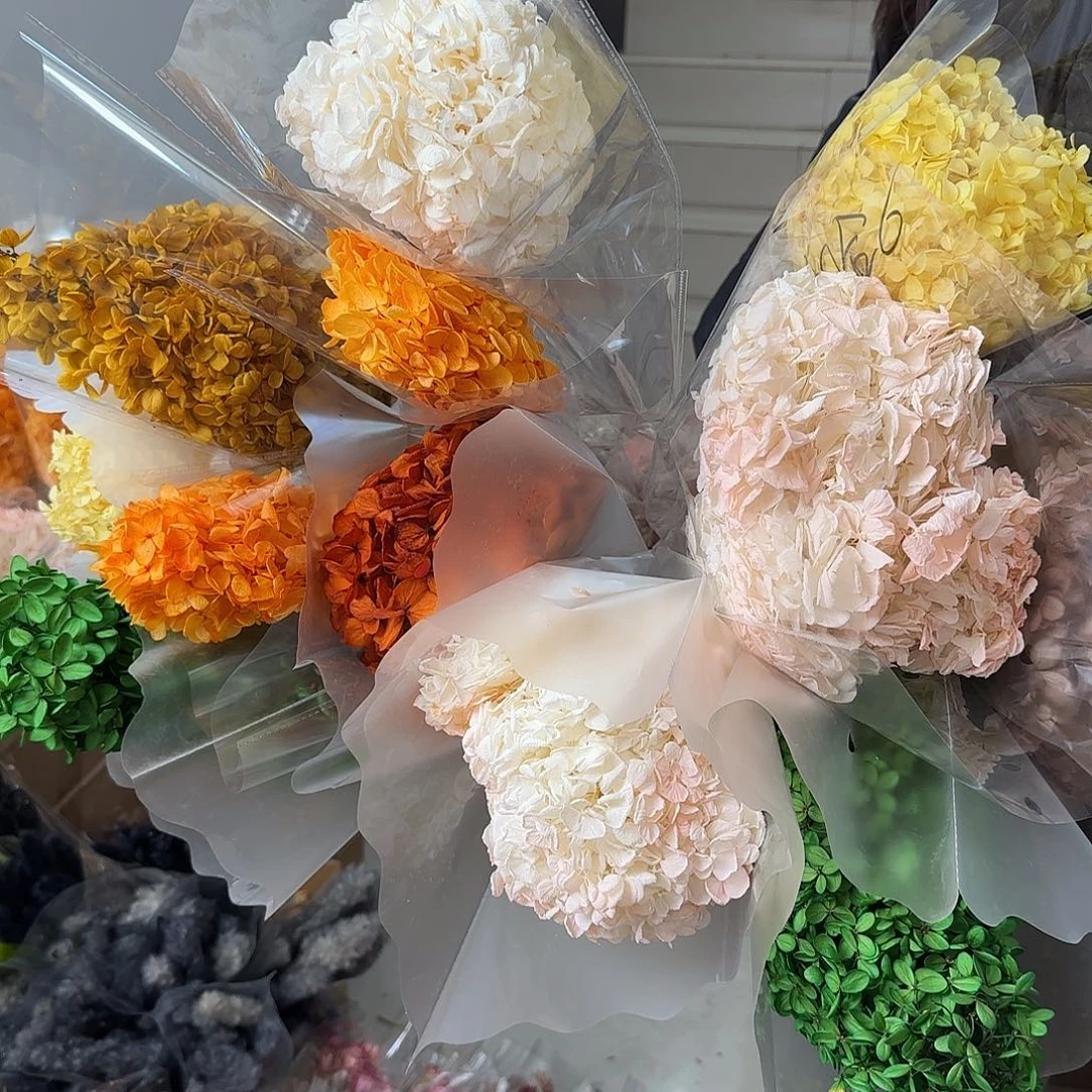 A67号混色绣球1把