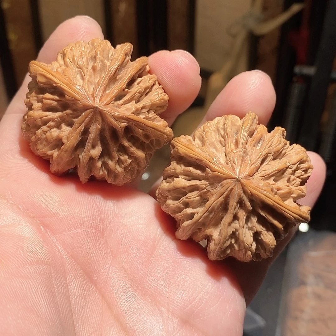 文玩核桃把件野牛六棱