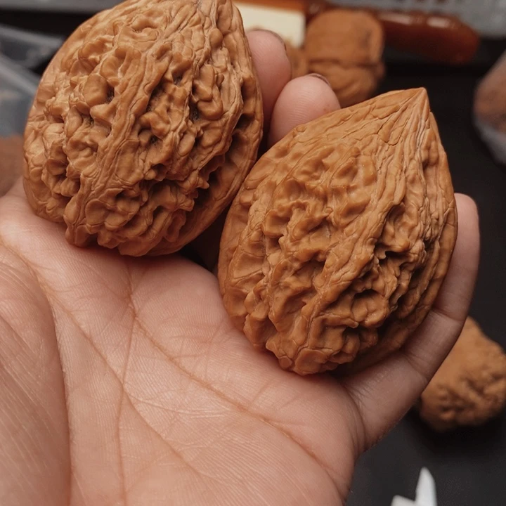 刘***耐核桃大沽石42尺核桃