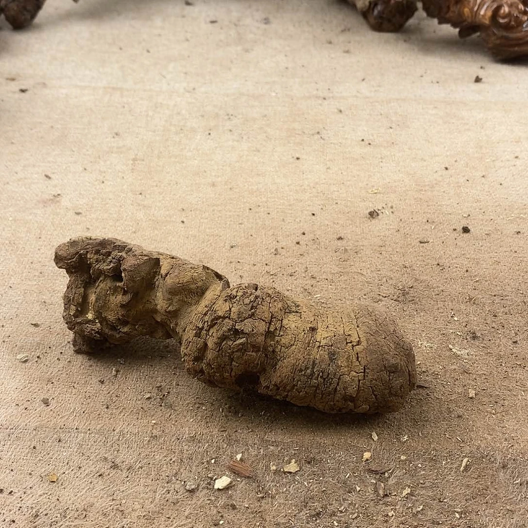 木紫****s黄花梨随形料子