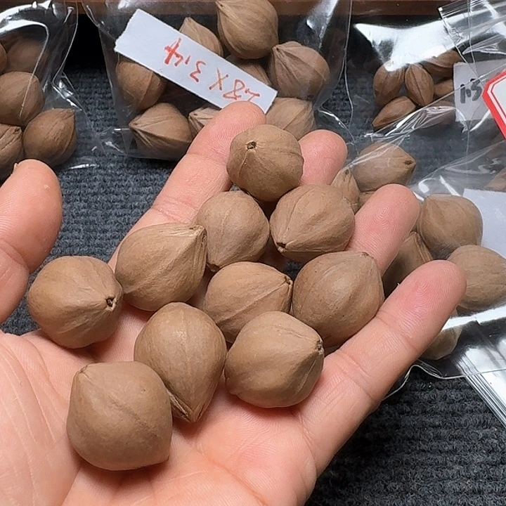 吊坠橄榄核乌**爺2.3❌3.0