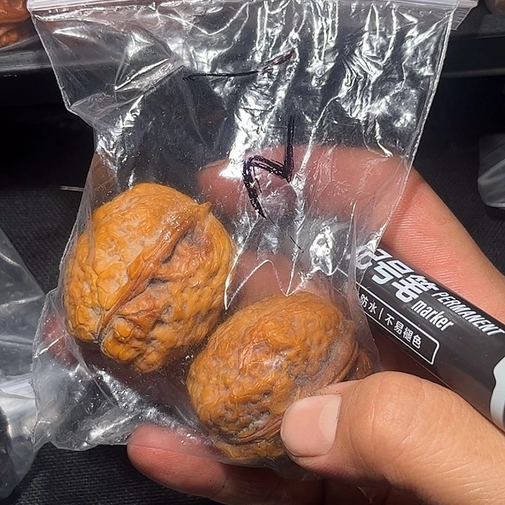 文玩核桃吊坠壬*滇西12