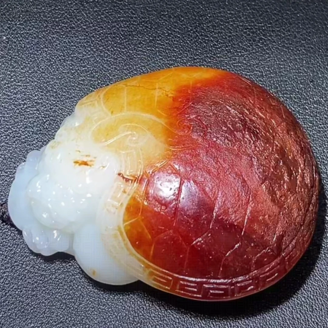 石包多样性拍一发一CC