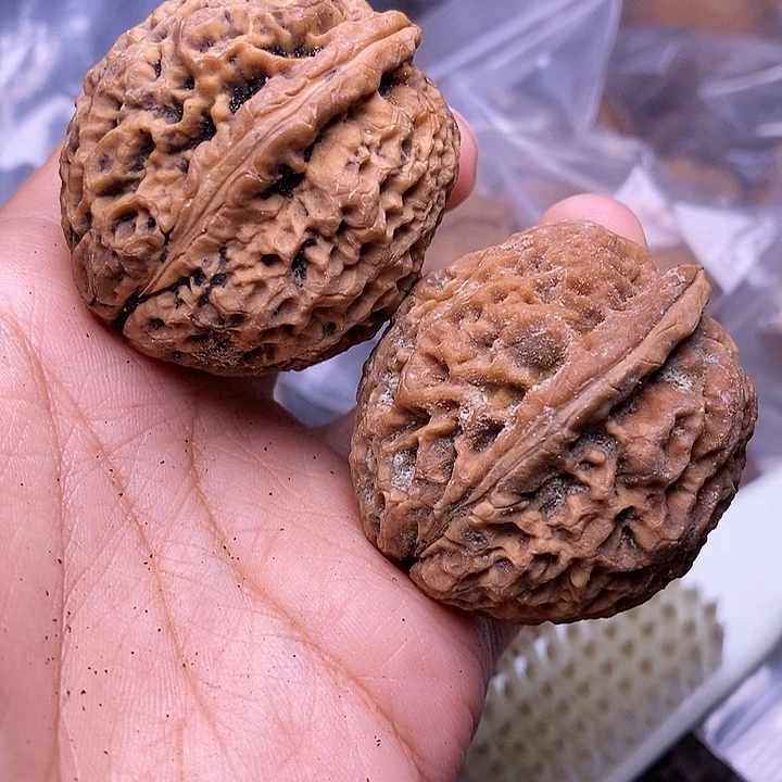 文玩核桃把件   169