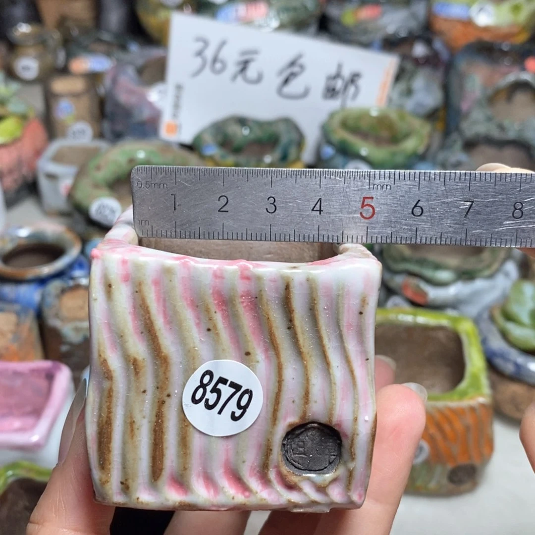 拍3送一个小礼物