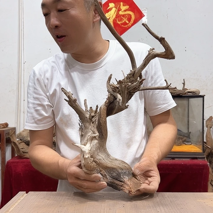 柏木木****馆我们的生活是以自己