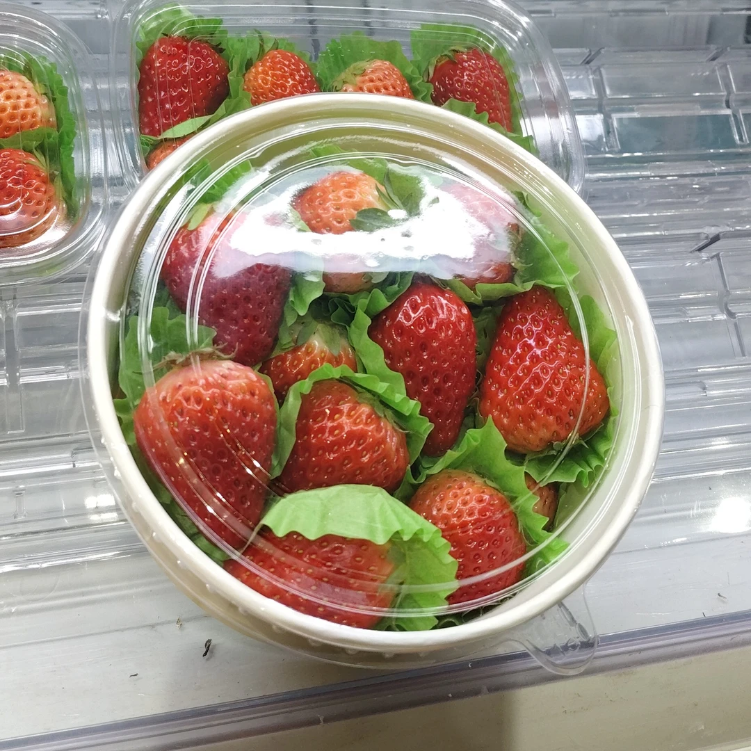 丹东99草莓250克