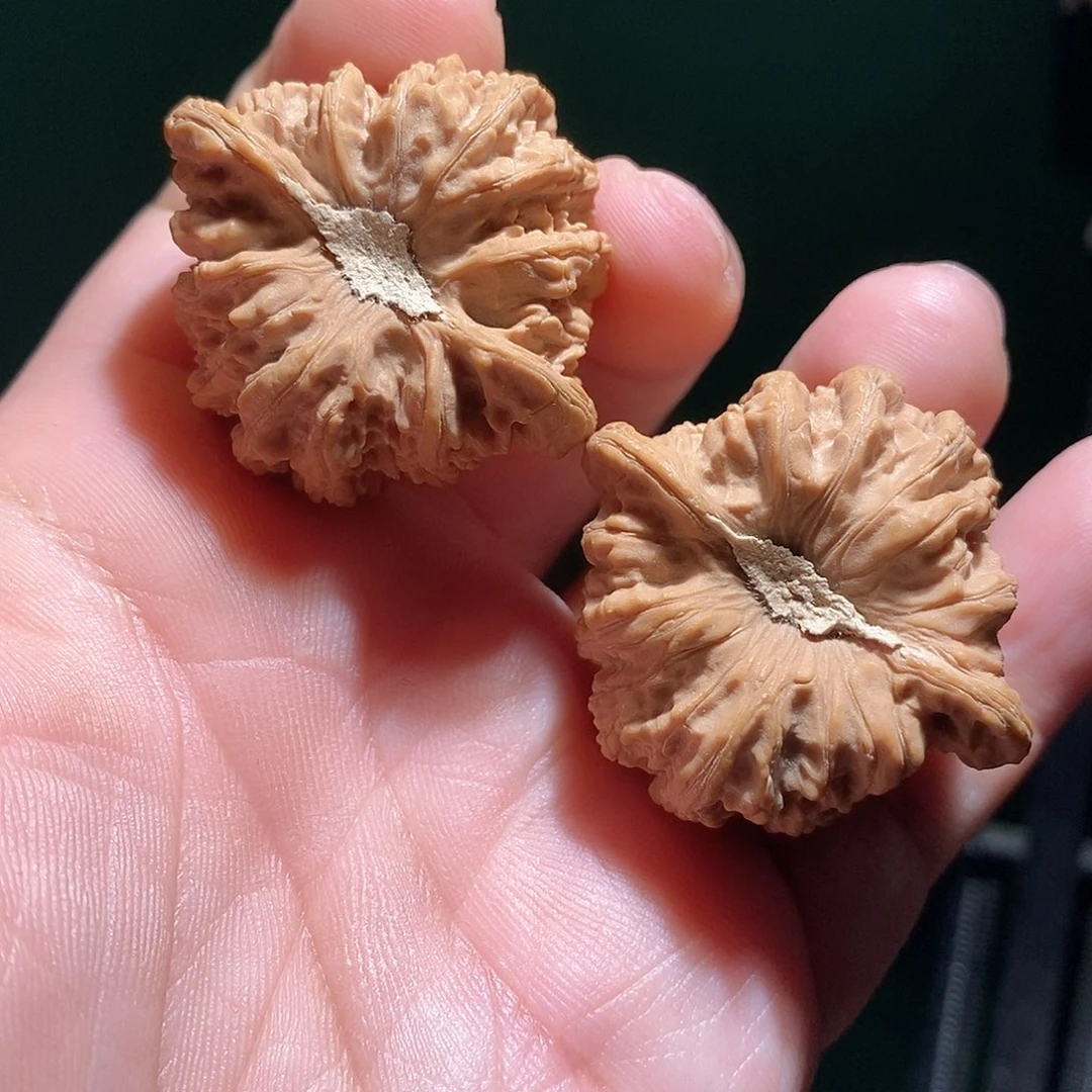 ***把件文玩核桃40密纹全品