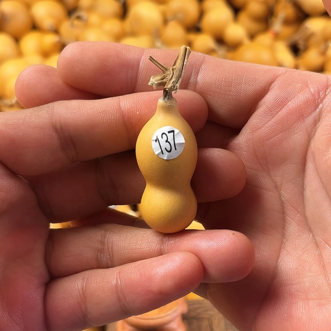 五葫芦葫芦葫芦葫芦137