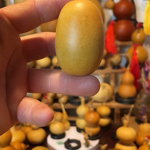 精品厚皮小八宝葫芦