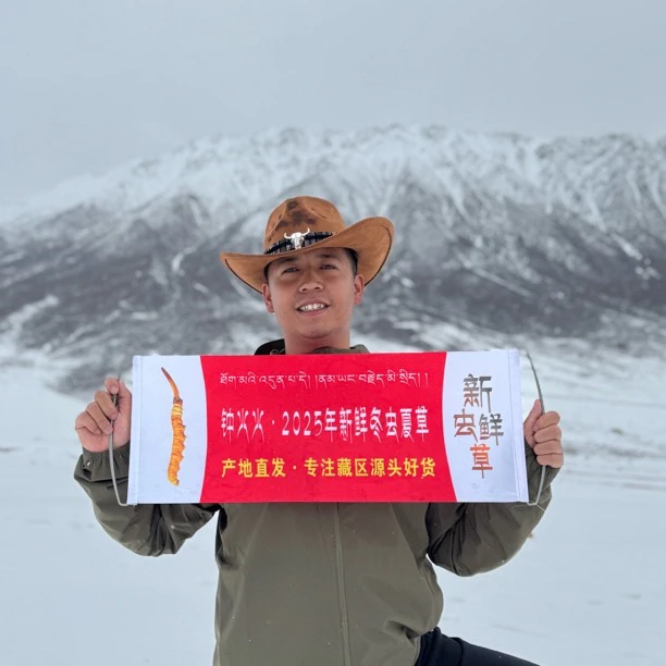 【定向链接】25年当天新鲜冬虫夏草鲜虫草顺丰空运包邮