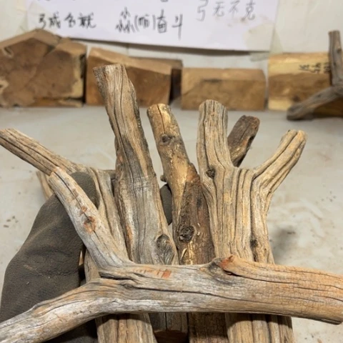 大果紫檀（缅甸花梨）（**）