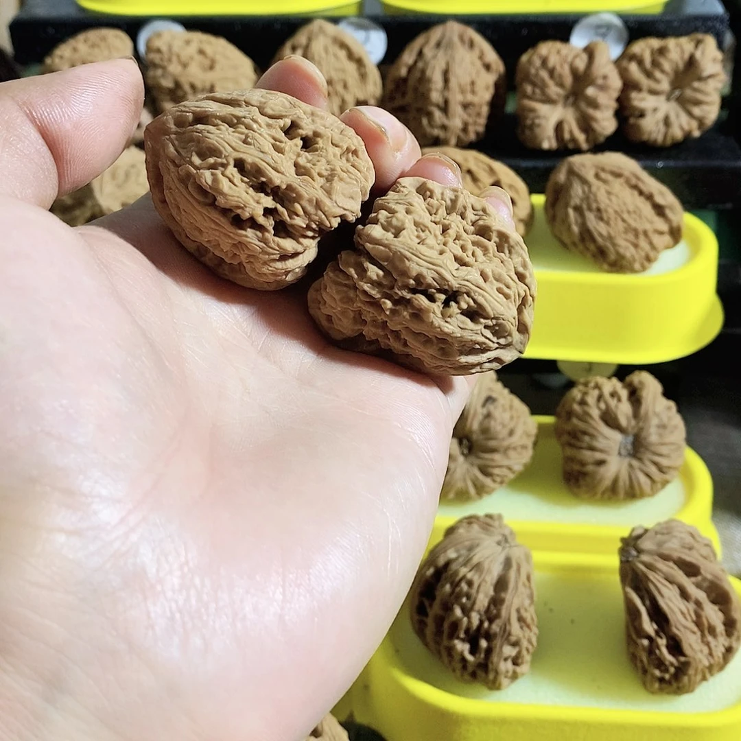 木质类今天是不是又