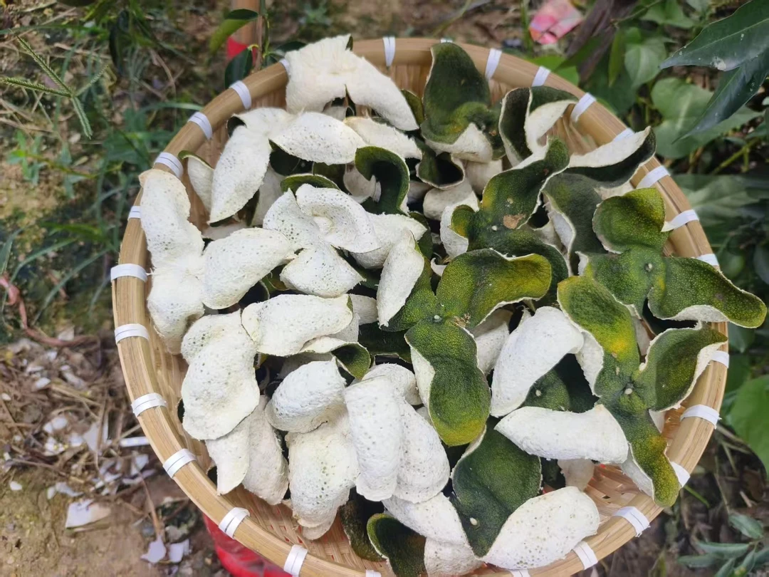 果农新会陈皮2025年大青皮