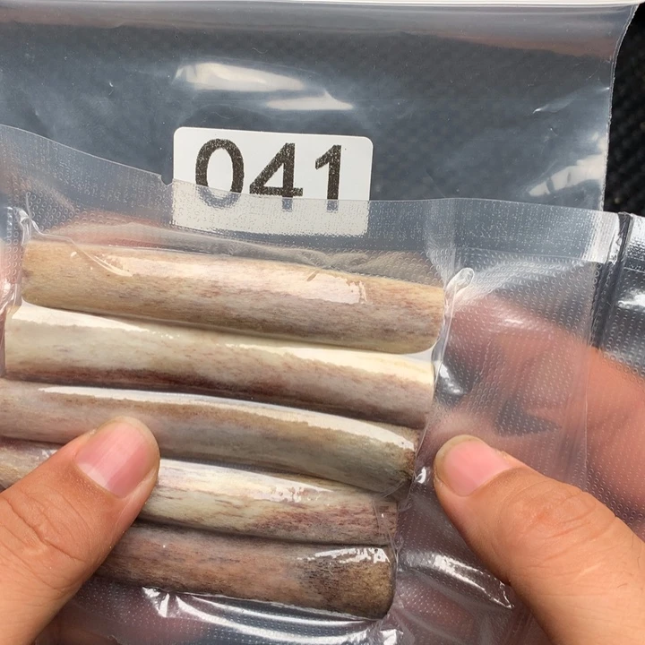 大果紫檀（缅甸花梨）