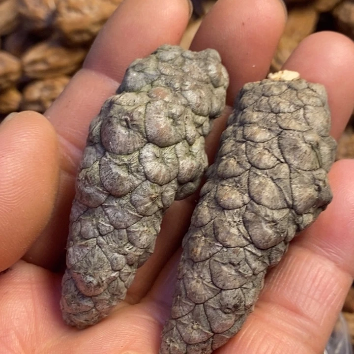 吊坠文玩核桃东北特产65