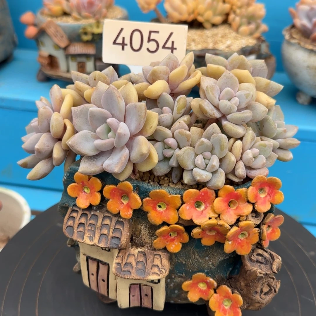 4054。    克洛伊缀