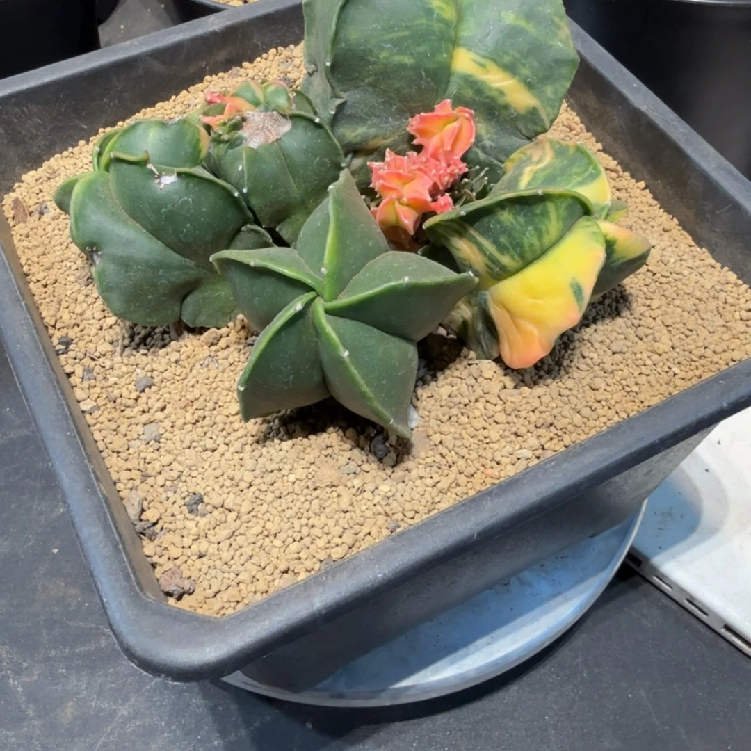 哈哈哈哈哈哈哈哈哈哈