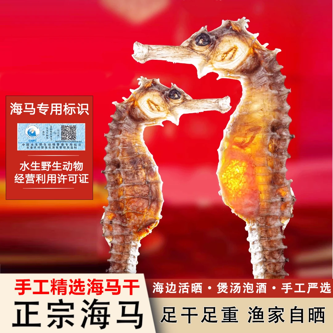 『热销福利款』 精选4A级 海马干货 煲汤泡酒专用滋补佳品 过年送礼