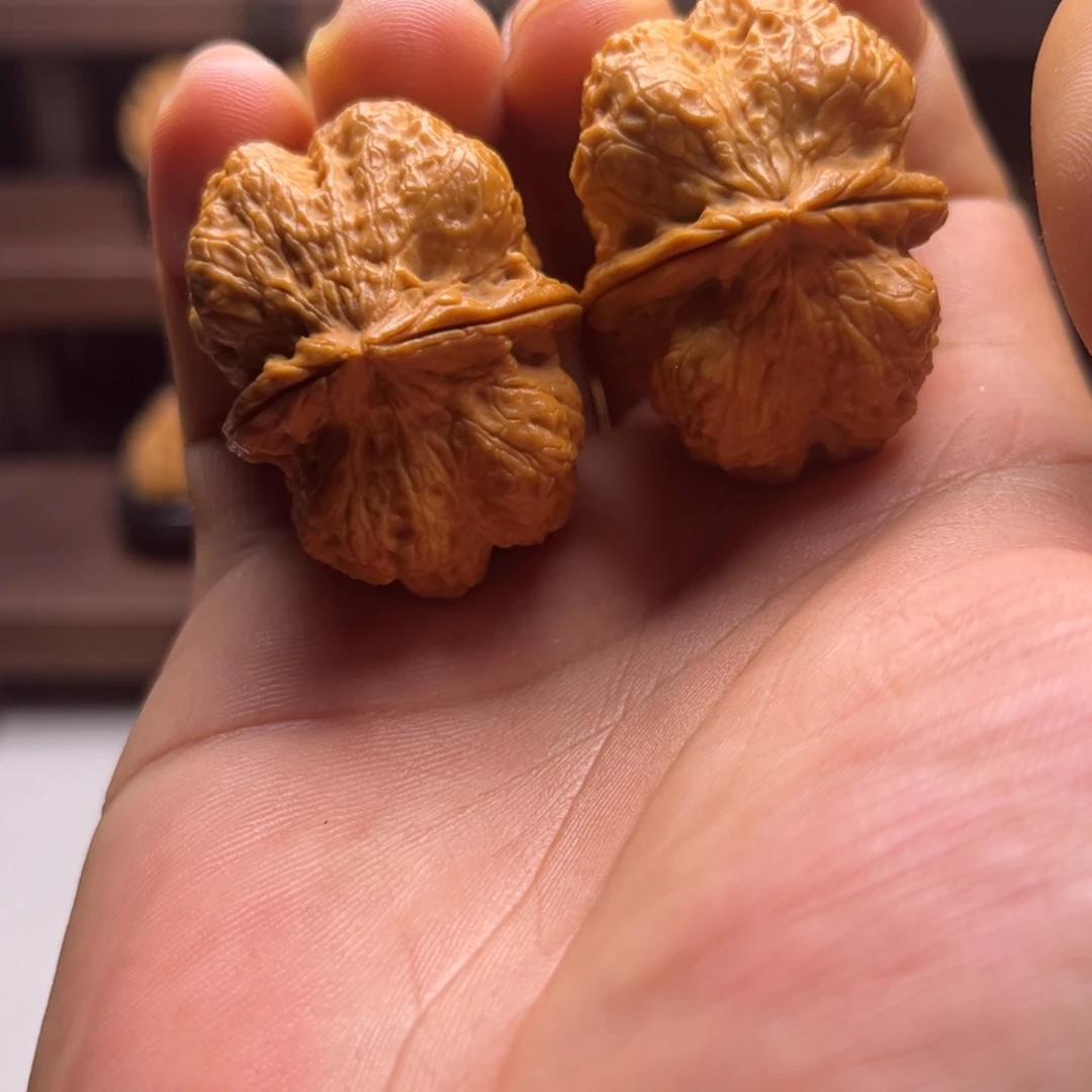 文玩核桃把件霸王龙脊