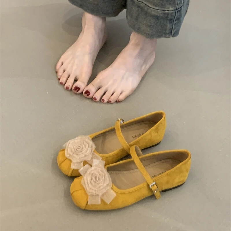 新中式花朵芭蕾风浅口单鞋女春秋新款复古仙女配裙粗跟玛丽珍鞋子