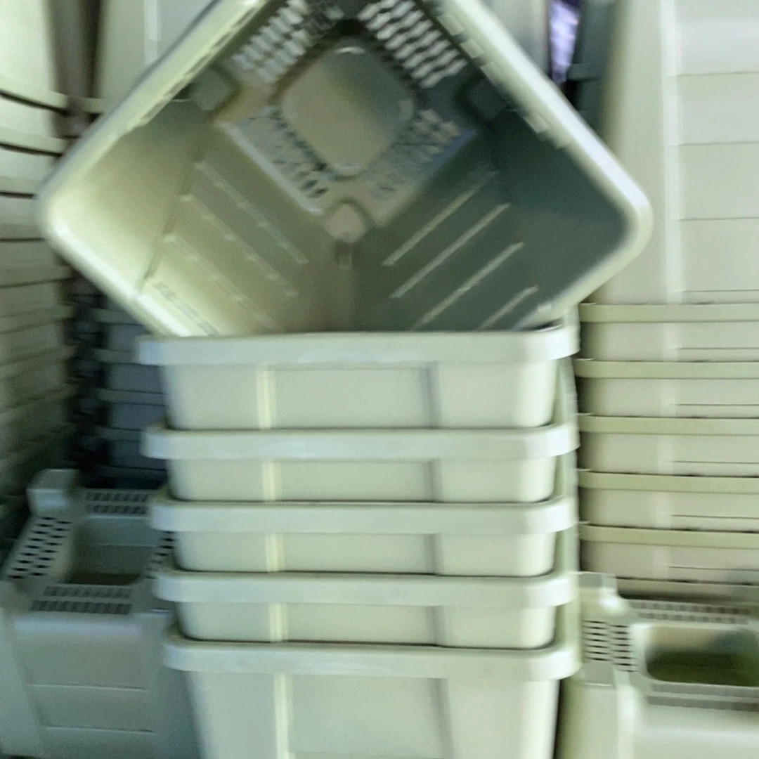 6个16口果绿方无托伊特（16×17）