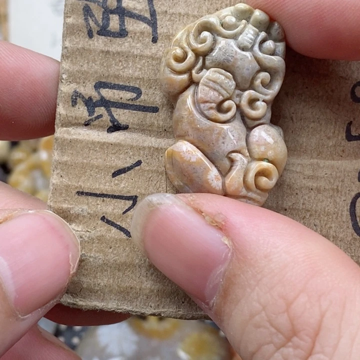 颈饰未镶嵌硅化珊瑚（珊瑚玉）徐*生