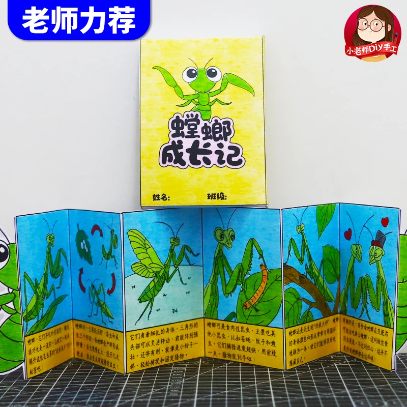 螳螂的一生昆虫记自然笔记观察记录软件生长过程自制绘本故事线稿