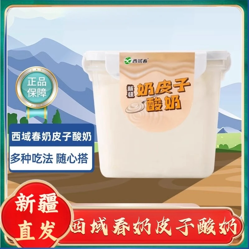 新疆特产西域春奶皮子酸奶桶装冰淇淋酸奶低温益生菌风味酸奶盒装