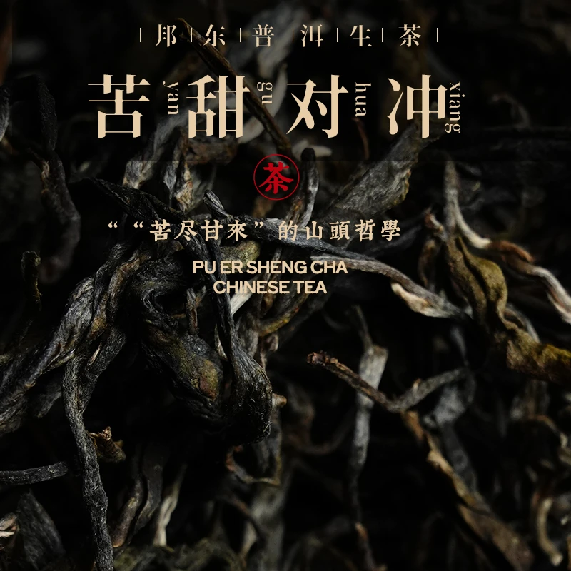 云南西双版纳勐海古树普洱茶生茶散茶