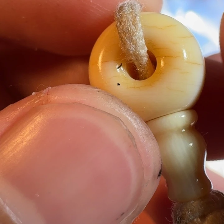 超***吊坠菩提根/象牙果