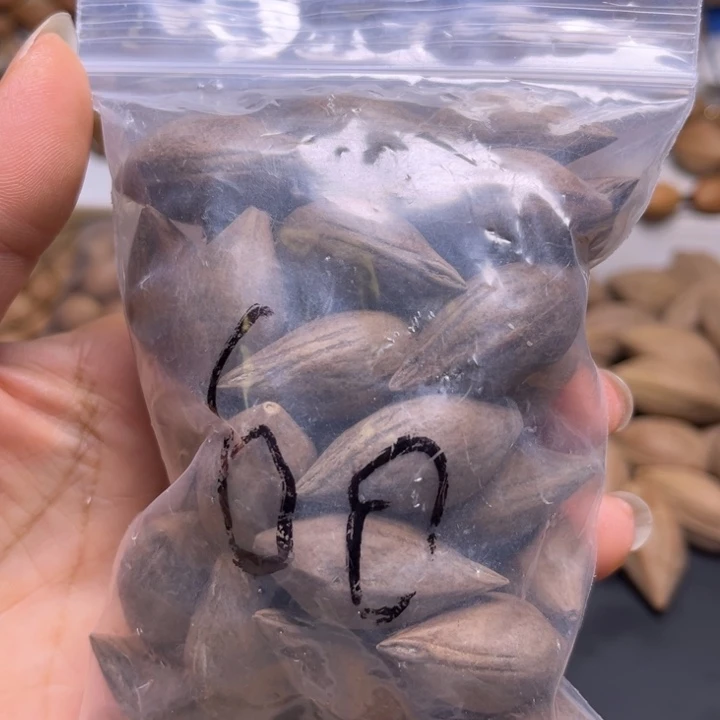 橄榄核手串/手链1111