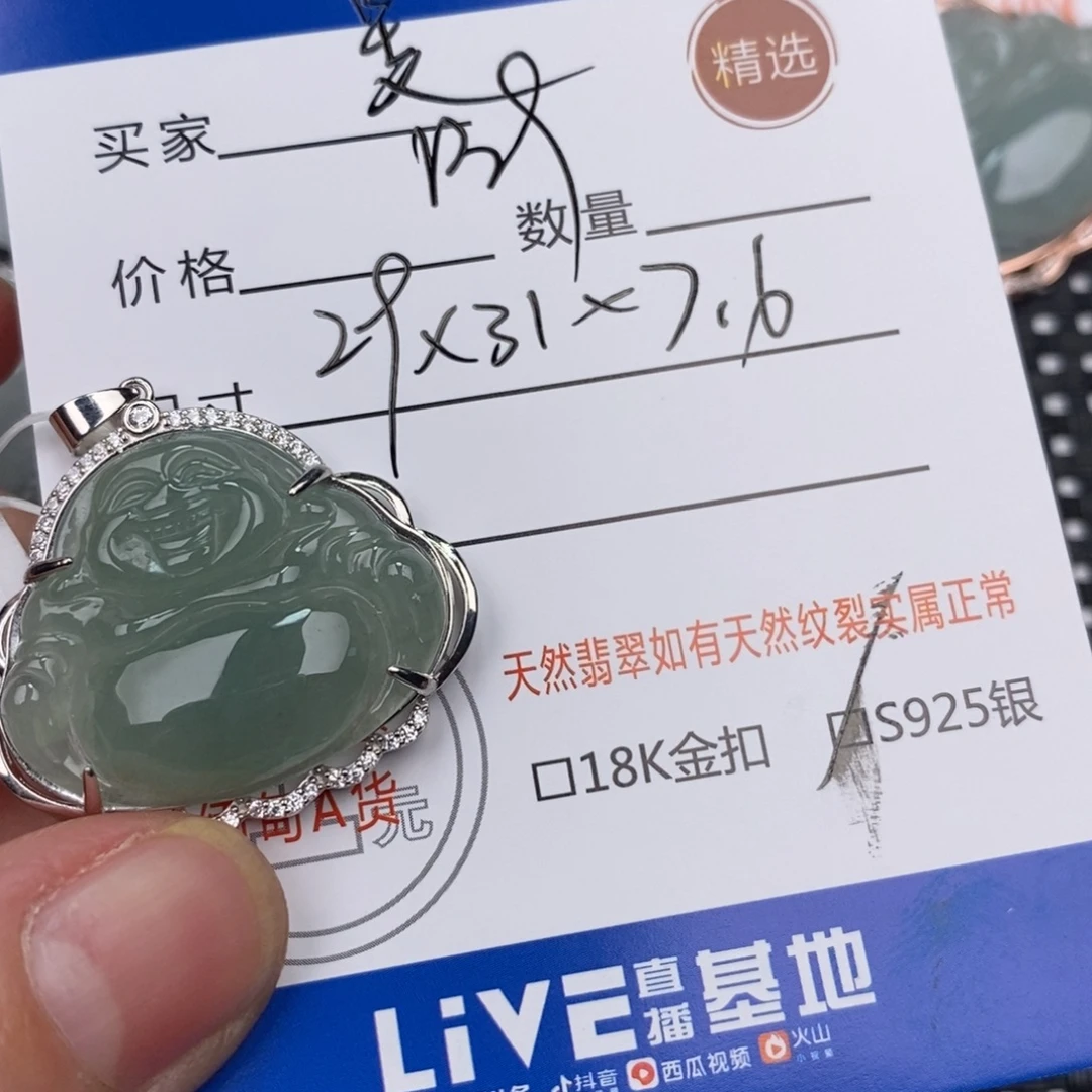 释****翡翠银S925镶嵌颈饰