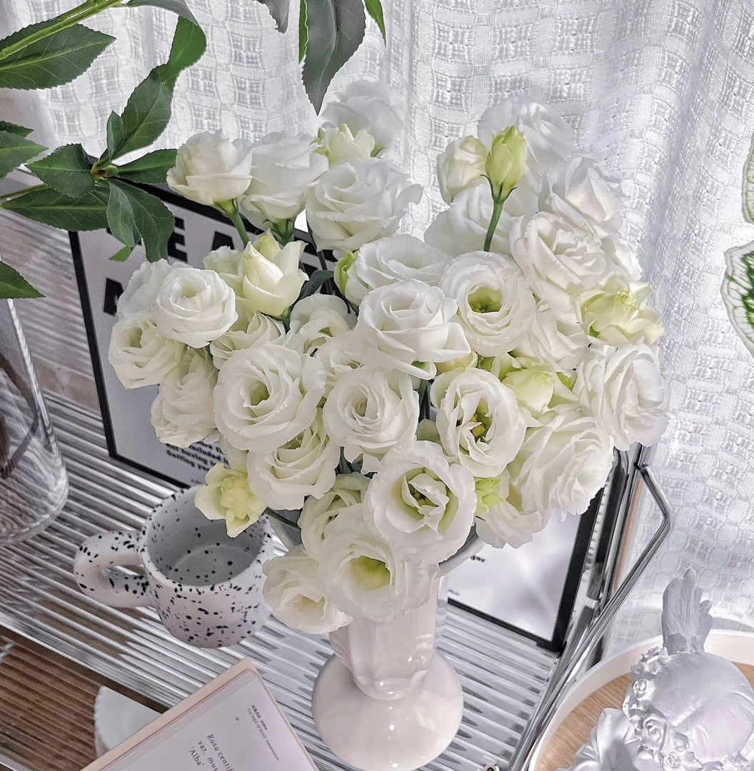 【白色洋桔梗AK】500-600克左右无刺玫瑰|全场任意满两单鲜花包邮