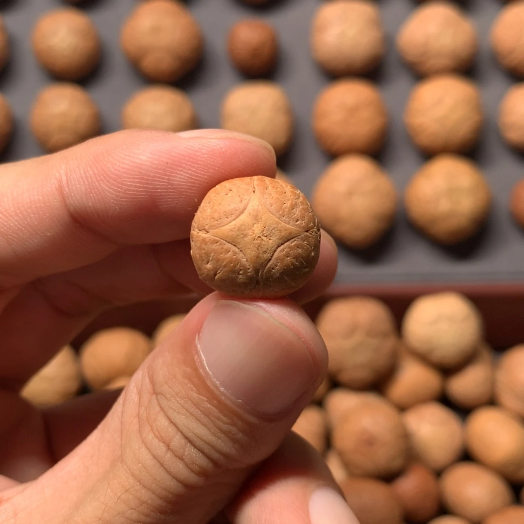 ****国凤眼菩提吊坠15mm尼泊尔麒麟三通，打孔不退换