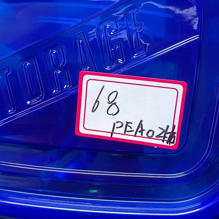 PEAO专拍奔跑家的寄居蟹