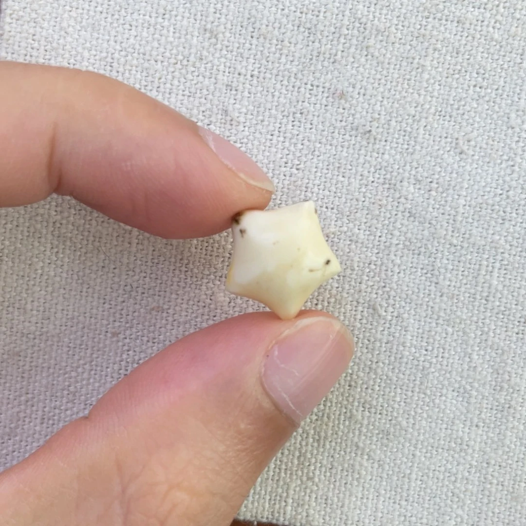 琥珀未镶嵌珠宝奇石星星