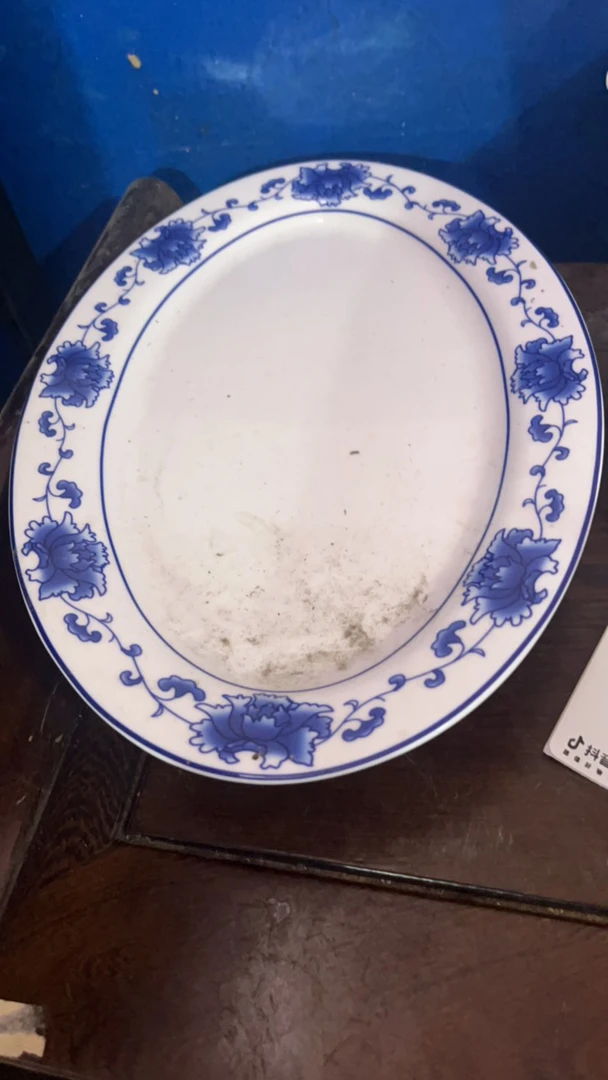 景德镇陶瓷青花鱼盘 满汉全席