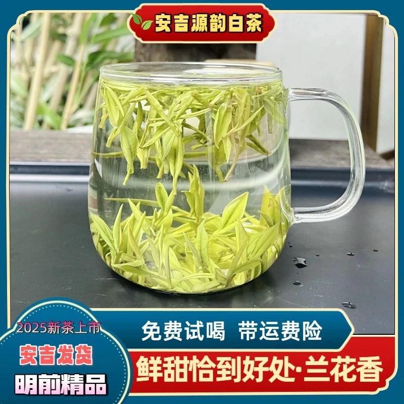 A6【兰花中芽】2025年新茶安吉白茶昆铜核心产区春季鲜爽回甘