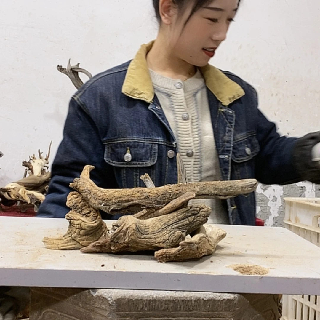 【闪购商品】柏木收***_我们都是好孩子