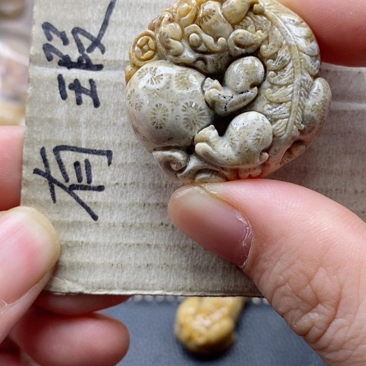 硅化珊瑚（珊瑚玉）颈饰未镶嵌