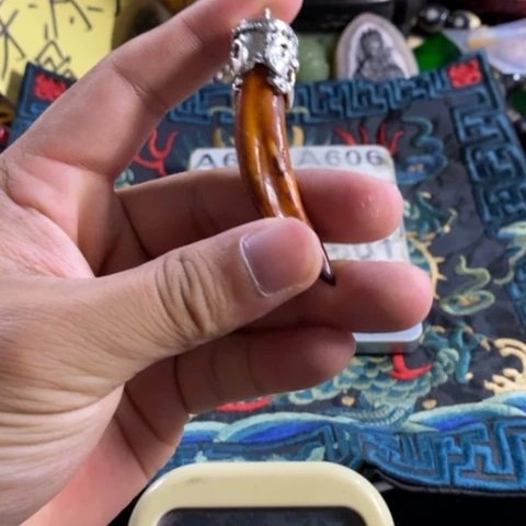 大哥专拍链接一号