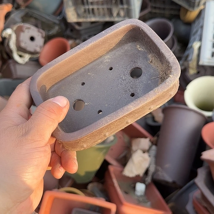 我想说我们也没见他说你没