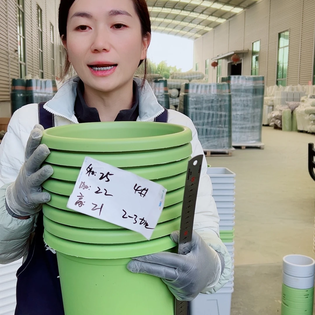 四季盆4#果绿8个无托