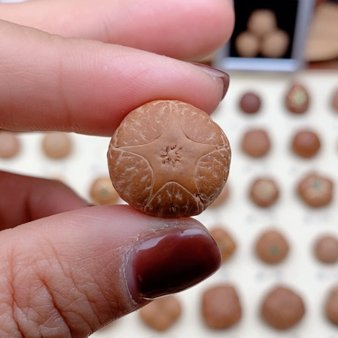 龙眼菩提吊坠雾***伟五星