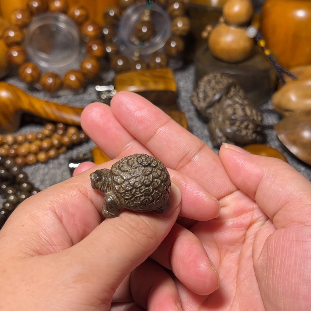 金丝楠阴沉木金钱龟