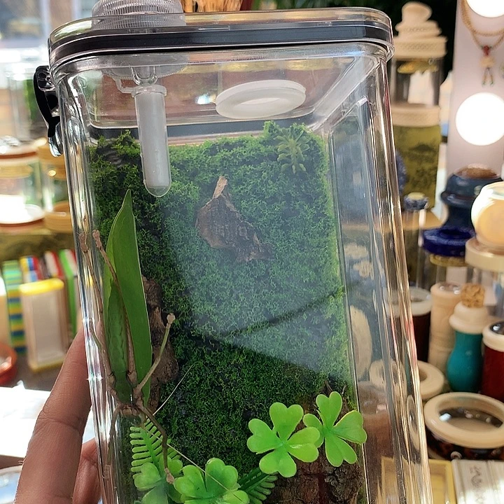 b***u带两只素背啊啊啊啊啊啊啊