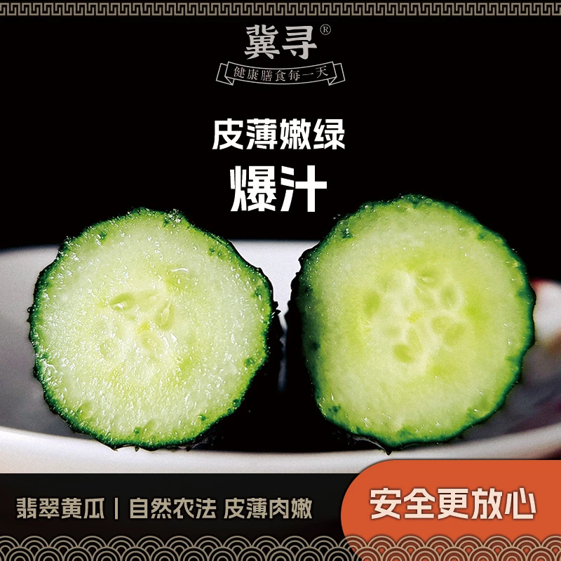 冀寻现摘翡翠黄瓜｜自然农法种植 皮薄肉嫩爆汁甜 顺丰包邮